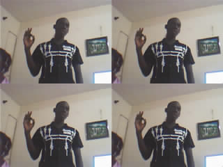 cibou